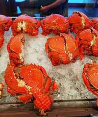 ����¿����Ǽ��Ƶ������ͣ���Ʒ���඼�����Ҿ�ϲ