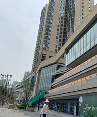 �����Աȣ����������������²��ɿ�����+95��ѧ������