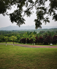 Сڵ¿԰ͽȥ羰ûܳʳ