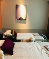 太值了!一顿饭的钱搞定按摩spa+看电影+简餐