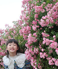 ��ע��һ�����ɯõ��԰�����ڵȵ��˻�ʢȫ����