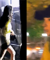 ��ʫʫ̽�����ݣ����չ��ۺͺ����