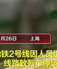 痛心,上海地铁有人翻越站台安全门身亡
