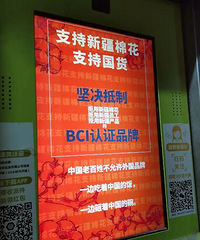 ����BCIЭ���Ч�ˣ��������ۣ���