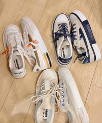 ������˫�����������Ļ�������Ь