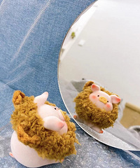 ���շݵĿ�����Դ�ڿɰ���LULU��