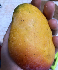 ֧ˮõâˣһû뵽ɫ