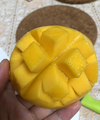 ֧������ˮ�õ�â�������ˣ�һ�����û�뵽��ɫ������