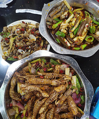 ˵˵����Ŀ�е����ƺ��ʳ�����ӣ�������黹����