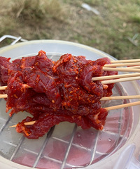 ��Ҫһ�����տ�ʱ������ã���Щ����ǵ��ղغ�