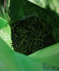 原来绿茶还能拿来洗头?去油效果还有点好耶