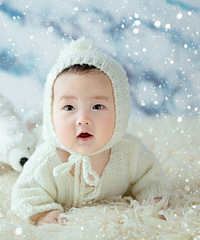 �������������ʳ�¯