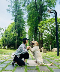 94��163CM���������飬��ֻ����4��Ĺ���