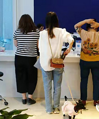 五一后不办犬证违法?重庆兴起狗证热