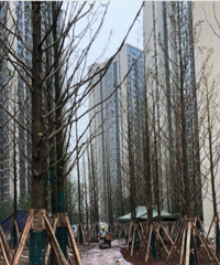 徰װˣһдŵʳ˵𡭡