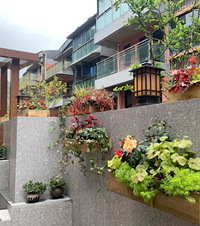 һСԺһڣ깤ˣڻ԰ɹ̫