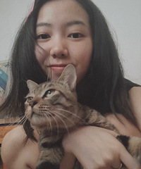 93164CMĲ飬ϣԷֲͺ