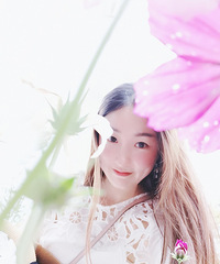 ļڡFafaĺӰԼûкöѵСɡ