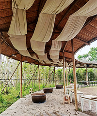 �������ա�����԰�֣������������ڵ�ũ����̫������