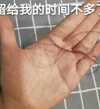 一人安利一个生发or防脱发妙招,送资生堂洗发套装