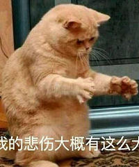 每次都是,没有意外,想换个发型,还没做完就后悔了