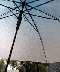 15��Ǯ��ɡ̫���˰ɣ��й���ʮ��