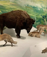 ������Ȼ��������˻�����������ĵط�