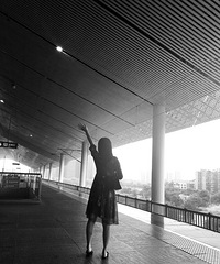 95163CMѵҵ飬ϣԷϽ