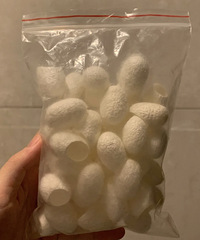 蚕茧平价去黑头清洁,真的有用吗?