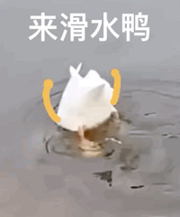 ��510ֵ�����Ÿ������16.9������ӡϴ����3��19.9