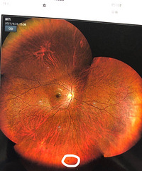 �������ۿ�����ǧƵ��������������ʲô���飿