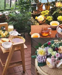 阳台陆续爆花,在这吃早餐堪比花园酒店