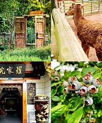 这些小众农家乐耍事多,老少都能玩开心