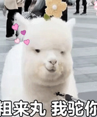 ��511ֵ���򡿽��·�ɹ����ñ129��������ͯ��˿ϯ3��39