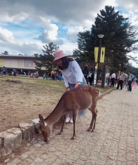 31��163CM������ҵ��С������飬ϣ���Է���ѧ��������