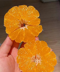 玉菇,油桃,芒果,羊角蜜,火龙果,玉米,榴莲开团,超多好评