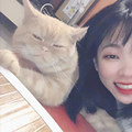 身高165的妹子征婚