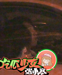 ���������ѱ��ǳ����ƺ����ڳ���