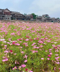 屦幫԰+ľɣӴץסβ