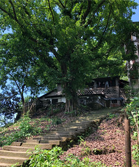 ǵСڹ԰УҰˣʺ˷ʱ