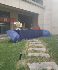120平四房带100平花园,除了价格,其他都完美了