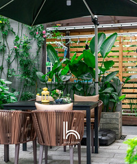 ɽ240ƽԭľ֮ұҵɽµȺɽϵ徻ҶҪ