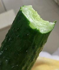 �ƺ��ҵ�������ʳ�������Ⱪʳ�ķ���