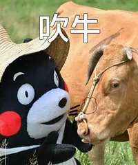 有一个超级爱吹牛的同事是什么体验