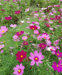 ʱ꣬ȥľɣԶЩ̫ио