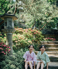 ���ĵĶ��빫԰̫�ʺ����������ˣ�