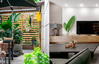 ɽ240ƽҵɽµȺɽϵ徻ҶҪ