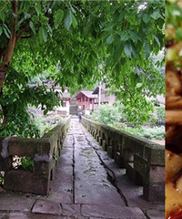 坐火车去綦江,赶场、吃美食,逛古镇