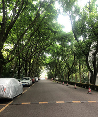 Flagս30Ъ̨ӵУ180ƽʽ