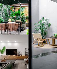 240ƽԭľ֮ңɽµȺɽϵ徻ҶҪ